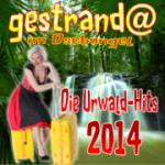 15-01-2014 - meisan-music - Gestrandet im Dschungel - cover.jpg